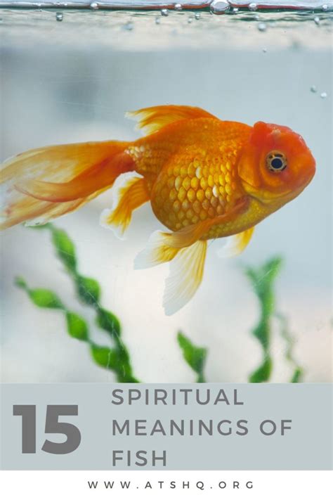 fish meaning|The Deeper Meanings Behind Fish Symbolism: Exploring the .